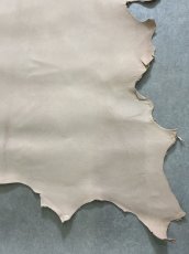 画像6: クードゥー　ヌメ革　ナチュラル　KUDU　クーズー (6)