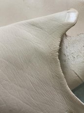 画像7: クードゥー　ヌメ革　ナチュラル　KUDU　クーズー (7)