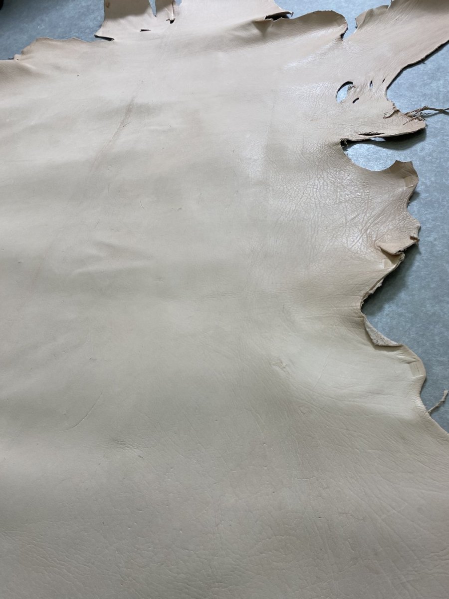 画像8: クードゥー　ヌメ革　ナチュラル　KUDU　クーズー (8)