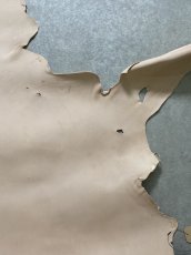 画像4: クードゥー　ヌメ革　ナチュラル　KUDU　クーズー (4)