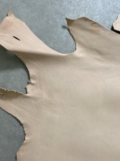 画像2: クードゥー　ヌメ革　ナチュラル　KUDU　クーズー (2)