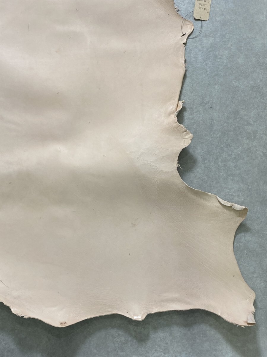 画像6: クードゥー　ヌメ革　ナチュラル　KUDU　クーズー (6)