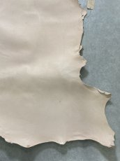 画像6: クードゥー　ヌメ革　ナチュラル　KUDU　クーズー (6)