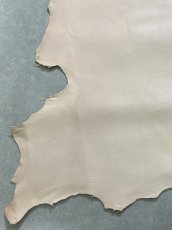 画像5: クードゥー　ヌメ革　ナチュラル　KUDU　クーズー (5)