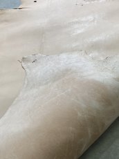 画像9: クードゥー　ヌメ革　ナチュラル　KUDU　クーズー (9)