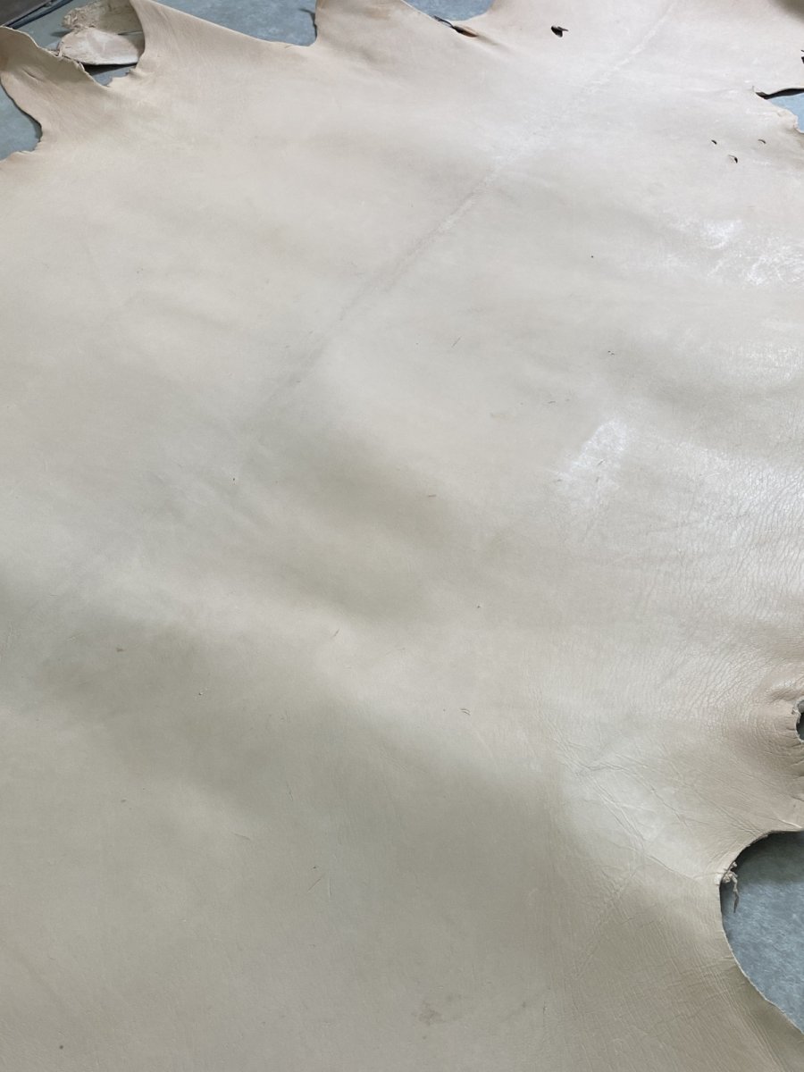 画像7: クードゥー　ヌメ革　ナチュラル　KUDU　クーズー (7)