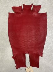 画像1: リザード　トカゲ革　マットレッド　29cm　エキゾチックレザー (1)