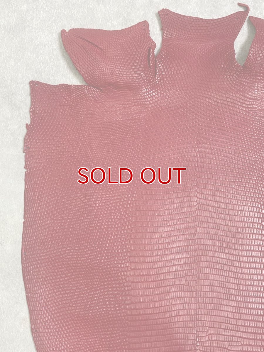 画像2: リザード　トカゲ革　マットレッド　29cm　エキゾチックレザー (2)