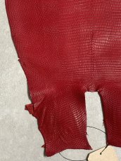画像4: リザード　トカゲ革　マットレッド　29cm　エキゾチックレザー (4)