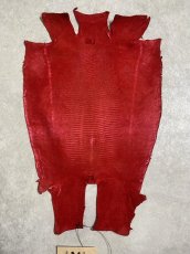 画像8: リザード　トカゲ革　マットレッド　29cm　エキゾチックレザー (8)