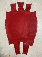 画像1: リザード　トカゲ革　マットレッド　29cm　エキゾチックレザー (1)