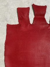 画像2: リザード　トカゲ革　マットレッド　29cm　エキゾチックレザー (2)