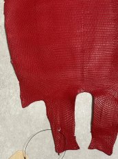 画像4: リザード　トカゲ革　マットレッド　29cm　エキゾチックレザー (4)