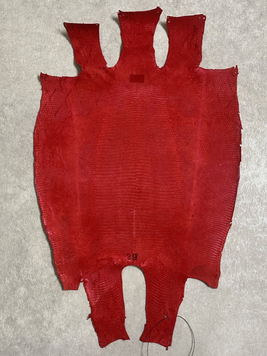 画像8: リザード　トカゲ革　マットレッド　29cm　エキゾチックレザー (8)