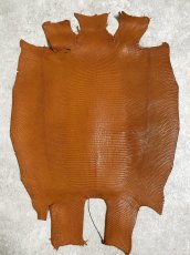 画像1: リザード　トカゲ革　マットキャメル　28cm　エキゾチックレザー (1)