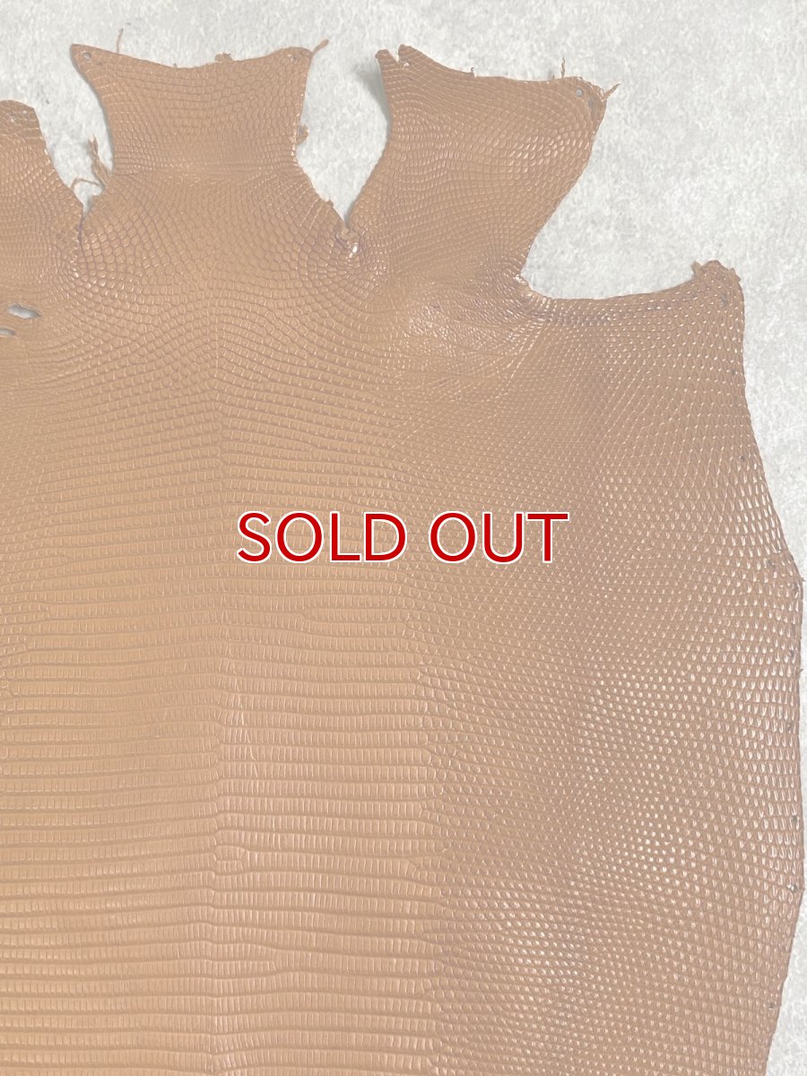 画像4: リザード　トカゲ革　マットキャメル　28cm　エキゾチックレザー (4)