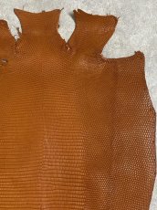 画像4: リザード　トカゲ革　マットキャメル　28cm　エキゾチックレザー (4)