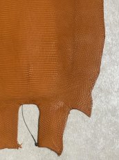 画像5: リザード　トカゲ革　マットキャメル　28cm　エキゾチックレザー (5)