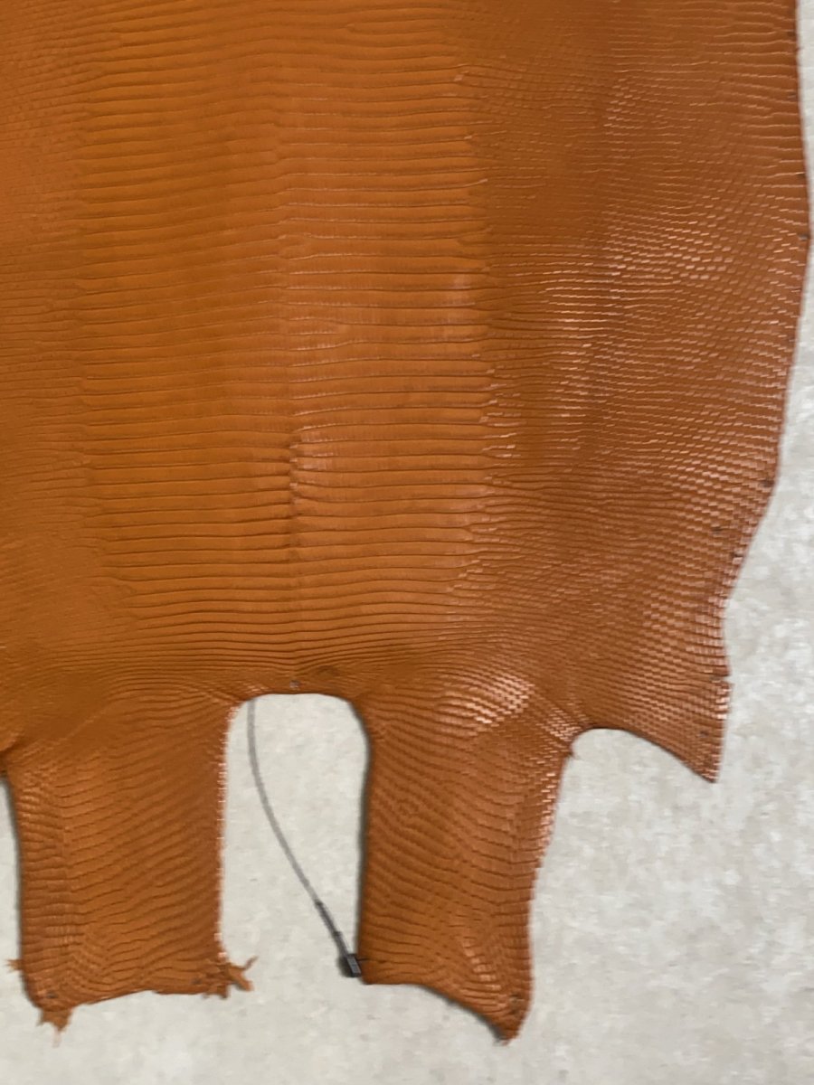 画像6: リザード　トカゲ革　マットキャメル　28cm　エキゾチックレザー (6)
