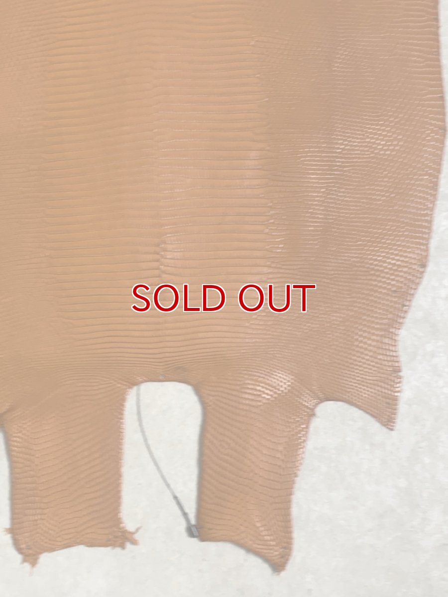 画像6: リザード　トカゲ革　マットキャメル　28cm　エキゾチックレザー (6)