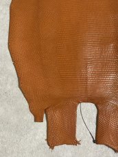 画像2: リザード　トカゲ革　マットキャメル　28cm　エキゾチックレザー (2)