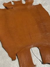 画像7: リザード　トカゲ革　マットキャメル　28cm　エキゾチックレザー (7)
