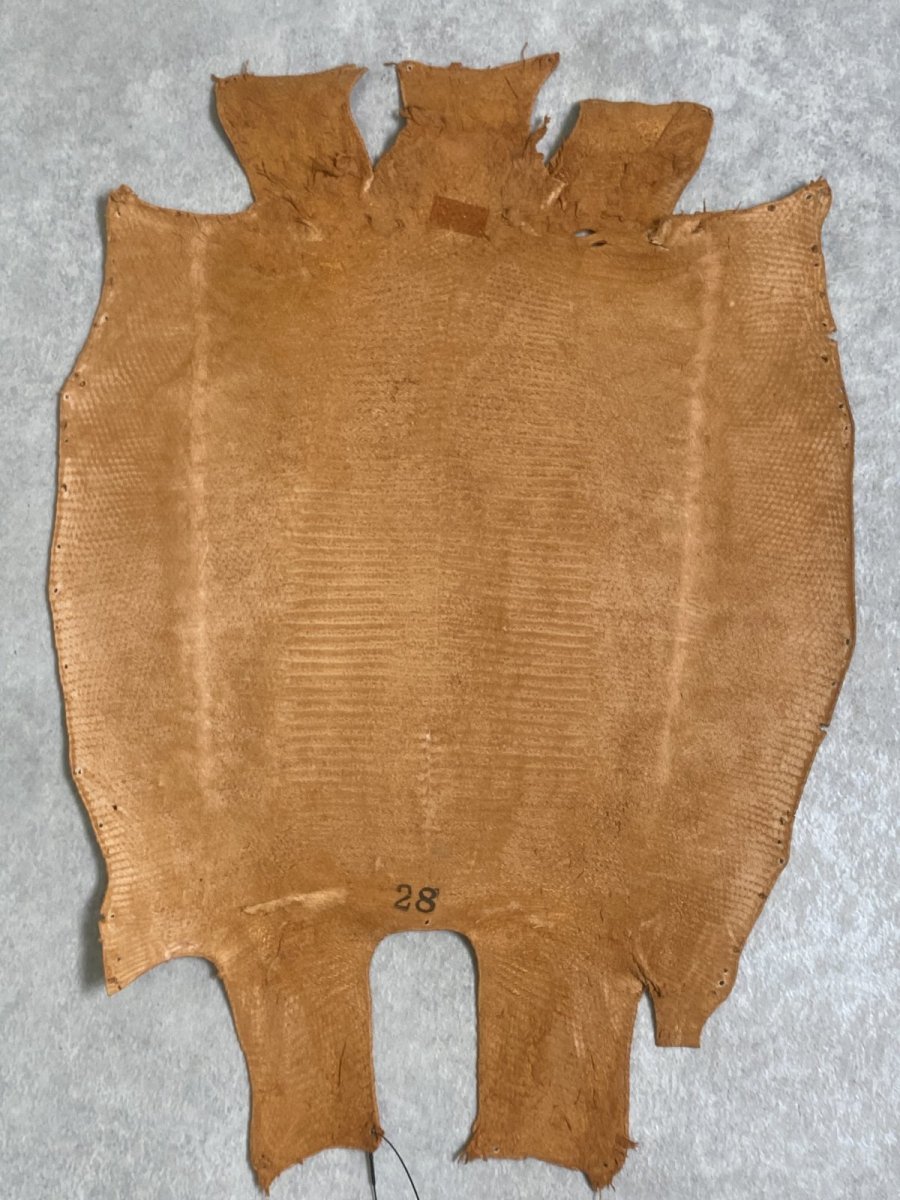 画像9: リザード　トカゲ革　マットキャメル　28cm　エキゾチックレザー (9)