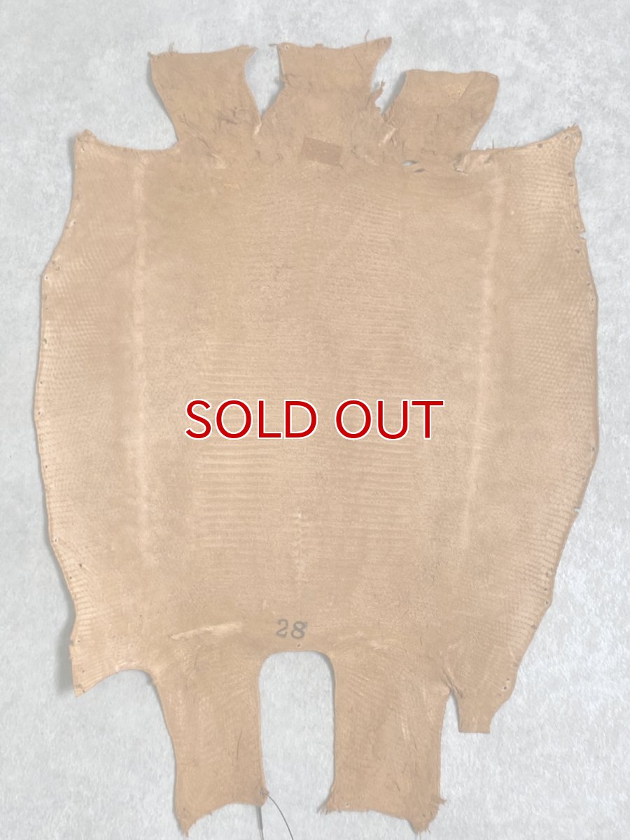 画像9: リザード　トカゲ革　マットキャメル　28cm　エキゾチックレザー (9)