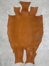 画像1: リザード　トカゲ革　マットキャメル　29cm　エキゾチックレザー (1)