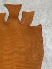 画像3: リザード　トカゲ革　マットキャメル　29cm　エキゾチックレザー (3)