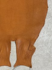 画像5: リザード　トカゲ革　マットキャメル　29cm　エキゾチックレザー (5)