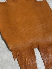 画像6: リザード　トカゲ革　マットキャメル　29cm　エキゾチックレザー (6)