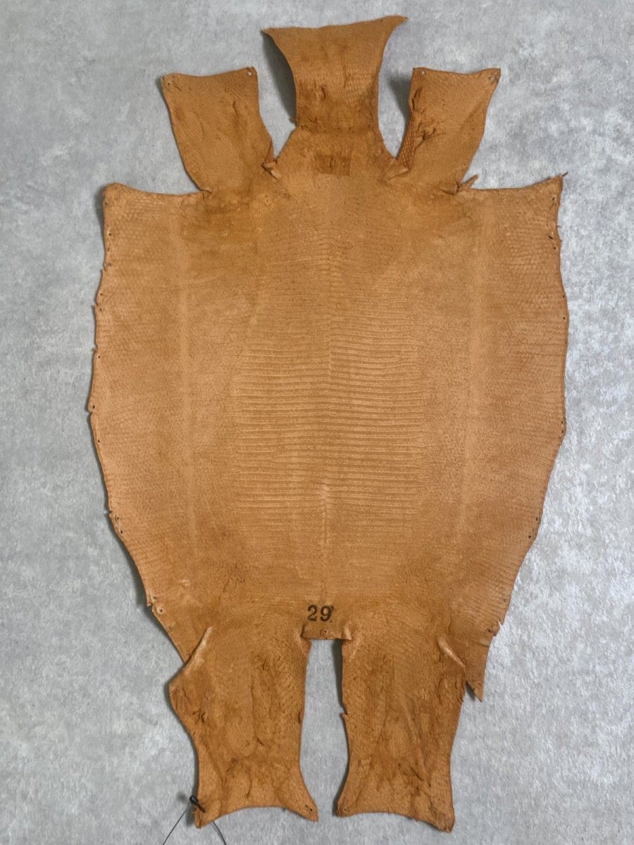 画像8: リザード　トカゲ革　マットキャメル　29cm　エキゾチックレザー (8)