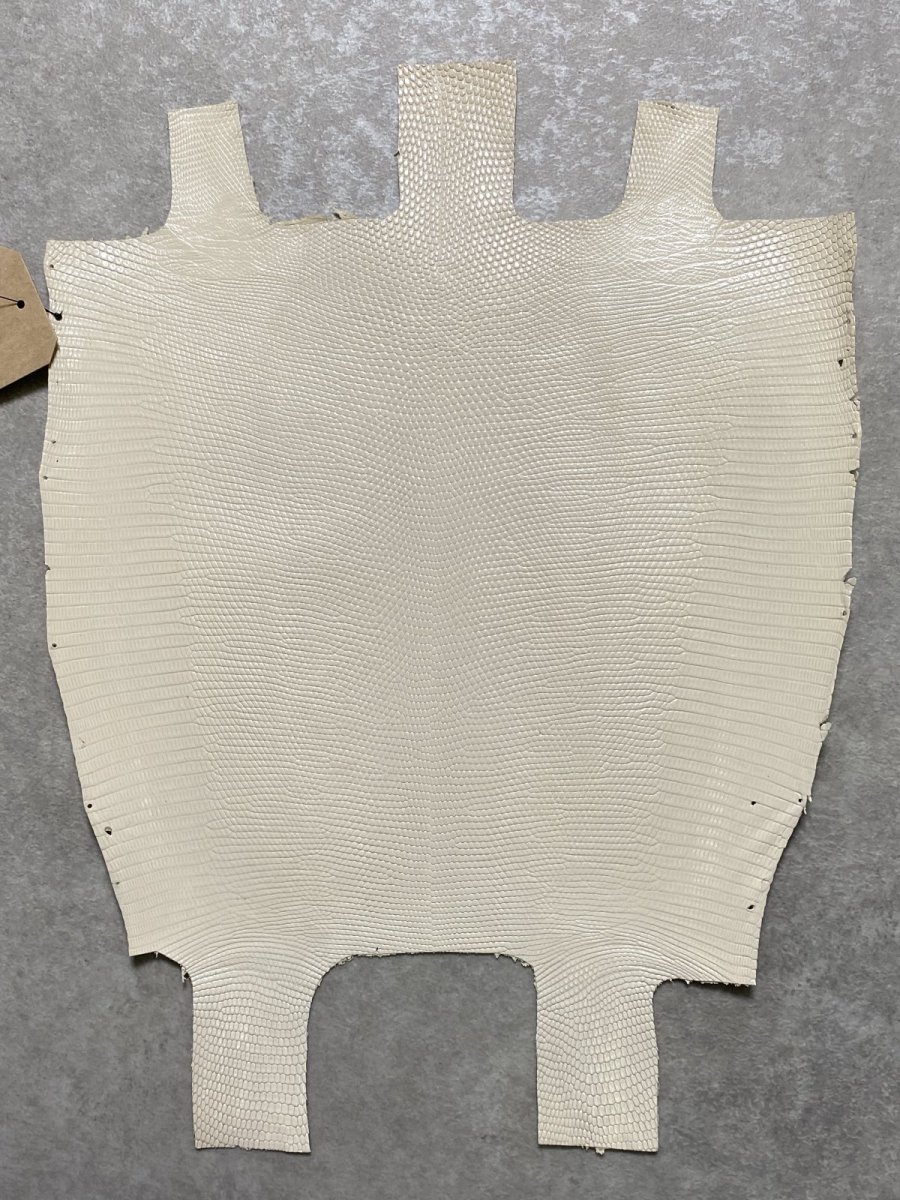 画像1: リザード　トカゲ革　オフホワイト　28cm　エキゾチックレザー (1)