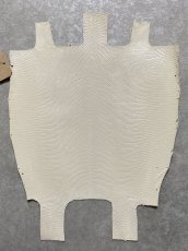 画像1: リザード　トカゲ革　オフホワイト　28cm　エキゾチックレザー (1)