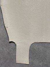 画像6: リザード　トカゲ革　オフホワイト　28cm　エキゾチックレザー (6)