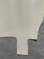 画像7: リザード　トカゲ革　オフホワイト　28cm　エキゾチックレザー (7)