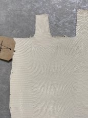 画像4: リザード　トカゲ革　オフホワイト　28cm　エキゾチックレザー (4)