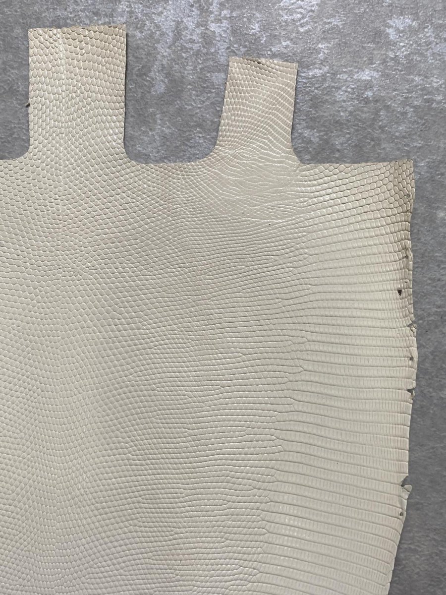 画像5: リザード　トカゲ革　オフホワイト　28cm　エキゾチックレザー (5)