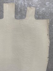 画像5: リザード　トカゲ革　オフホワイト　28cm　エキゾチックレザー (5)