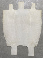 画像8: リザード　トカゲ革　オフホワイト　28cm　エキゾチックレザー (8)