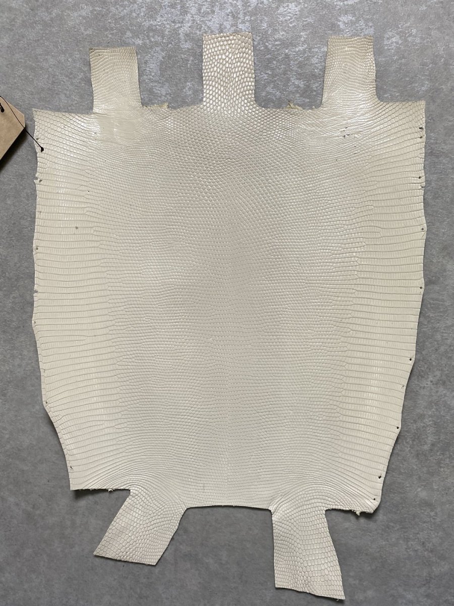 画像1: リザード　トカゲ革　オフホワイト　28cm　エキゾチックレザー (1)