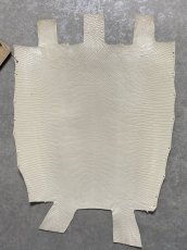 画像1: リザード　トカゲ革　オフホワイト　28cm　エキゾチックレザー (1)