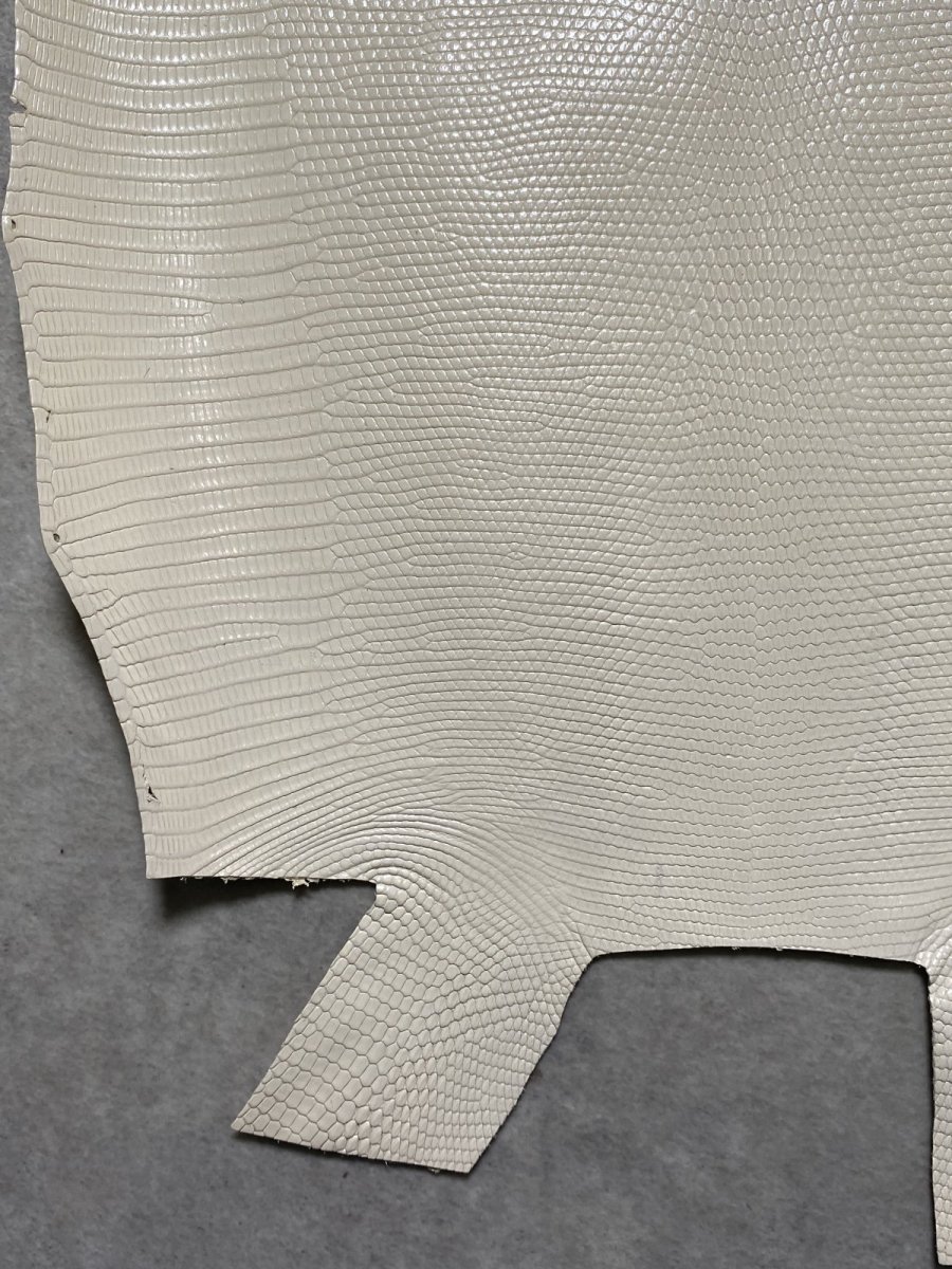 画像6: リザード　トカゲ革　オフホワイト　28cm　エキゾチックレザー (6)