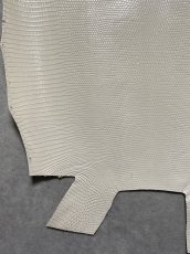 画像6: リザード　トカゲ革　オフホワイト　28cm　エキゾチックレザー (6)