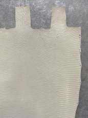 画像5: リザード　トカゲ革　オフホワイト　28cm　エキゾチックレザー (5)
