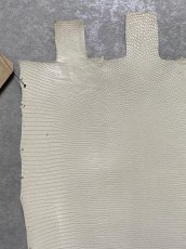 画像4: リザード　トカゲ革　オフホワイト　28cm　エキゾチックレザー (4)