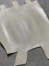 画像2: リザード　トカゲ革　オフホワイト　28cm　エキゾチックレザー (2)