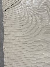 画像8: リザード　トカゲ革　オフホワイト　28cm　エキゾチックレザー (8)