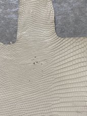 画像9: リザード　トカゲ革　オフホワイト　28cm　エキゾチックレザー (9)